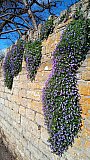 Bradford-on-Avon Getaway Mar 25