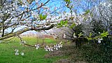 Bradford-on-Avon Getaway Mar 25
