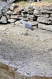 Yorkshire Dales HF Holiday Aug 25