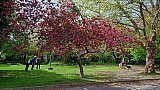 Easter walk