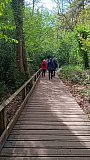 Fleet Pond walk Apr 25
