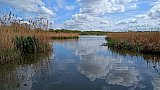 Fleet Pond walk Apr 25